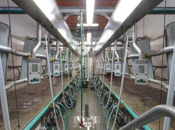 Impianti di mungitura