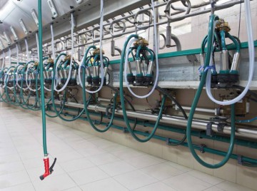 Impianti di mungitura